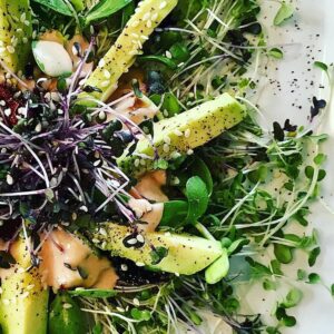 Microgreens brotes de ensalda mixta Mazatlán Durango México Brotes Restaurantes Chefs