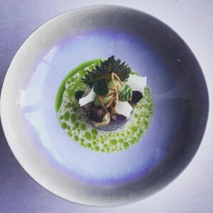 Brotes microgeens hojas Shiso Mazatlán Durango México Restaurante Chefs Gourmet Oriental Mexican food