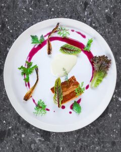 Brote microgreen Sorrel Acedera Mazatlán Durango México, Restaurantes, Chefs, Consume Local, Nutricion valgreen Rabano Sandia