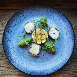 Brote de Chicharo rizado microgreen mazatlan durango mexico Restaurantes gisante