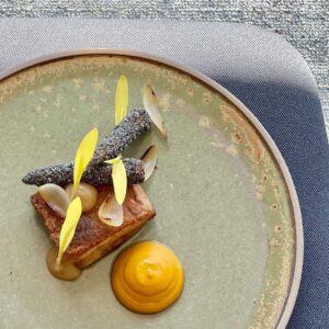 Popcorn shoot microgreen brote de maiz amarillo dulce mazatlán durango méxico restaurantes chefs consume local rabano sandia veganismo gourmet