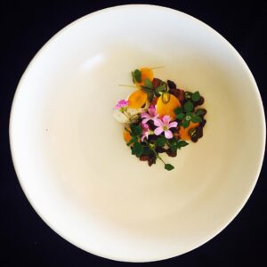 Flores comestibles oxalis trebol morado mazatlán durango méxico rabano sandia shiso restaurantes chefs gourmet consume local veganismo nutricion