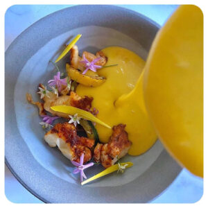 Popcorn shoot microgreen brote de maiz amarillo dulce mazatlán durango méxico restaurantes chefs consume local rabano sandia veganismo gourmet