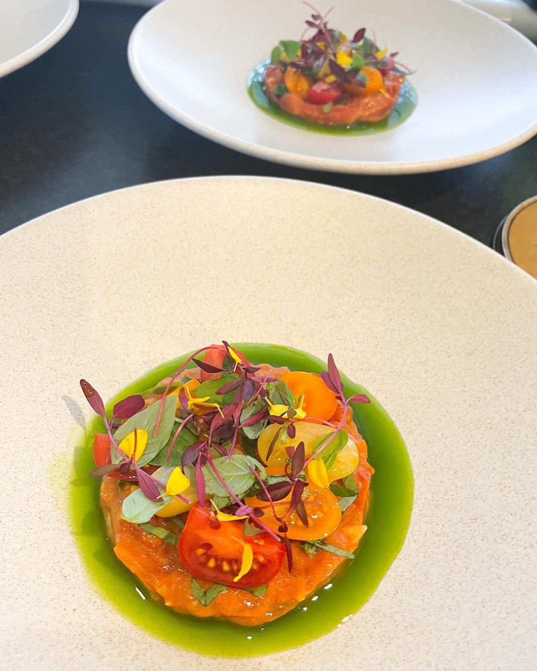 Brote microgreen de amaranto rojo mazatlan durango mexico chefs restaurantes comida gourmet
