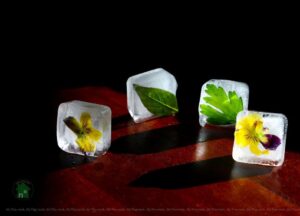 Flores comestibles pensamientos mazatlán restaurantes durango méxico consume local nutrición gourmet chef 