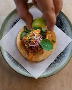 Brote microgreen capuchina mastuerzo comestible mazatlán durango méxico restauantes chefs gourmet