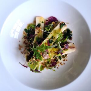 Brote microgreen de arugula rucula mazatlán durango méxico restaurantes chefs rabano sandia gourmet