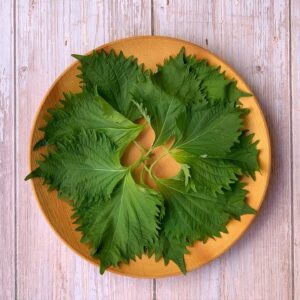 Brotes microgeens hojas Shiso Mazatlán Durango México Restaurante Chefs Gourmet Oriental Mexican food