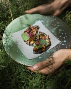 Brote microgreen capuchina mastuerzo comestible mazatlán durango méxico restauantes chefs gourmet