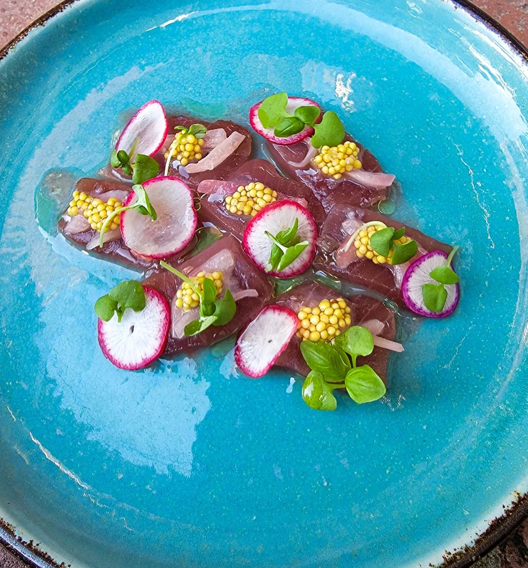 Brote microgreen de albahaca genovesa mazatlán durango México Restaurantes consume local nutricion veganismo rabano sandia Chefs