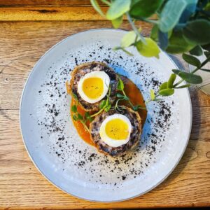 Brote de Chicharo rizado microgreen mazatlan durango mexico Restaurantes gisante