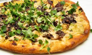 Brote microgreen de arugula rucula mazatlán durango méxico restaurantes chefs rabano sandia gourmet