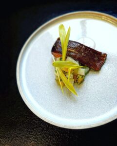 Popcorn shoot microgreen brote de maiz amarillo dulce mazatlán durango méxico restaurantes chefs consume local rabano sandia veganismo gourmet