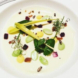 Popcorn shoot microgreen brote de maiz amarillo dulce mazatlán durango méxico restaurantes chefs consume local rabano sandia veganismo gourmet