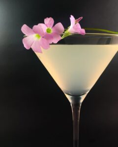 Flores comestibles oxalis trebol morado mazatlán durango méxico rabano sandia shiso restaurantes chefs gourmet consume local veganismo nutricion