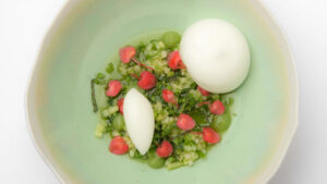 Flor comestible apple blossom begonia microgreens brotes mazatlán durango méxico restaurantes consume local veganismo gourmet