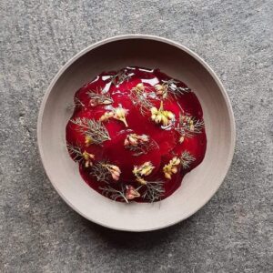 Brote Microgreen Hinojo De Bronce Fennel Mazatlán Durango México Restaurante Gourmet Chefs Valgreens