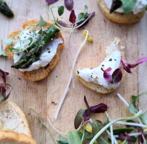 Brote microgreen de amaranto rojo mazatlan durango mexico chefs restaurantes comida gourmet