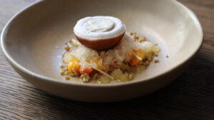 Popcorn shoot microgreen brote de maiz amarillo dulce mazatlán durango méxico restaurantes chefs consume local rabano sandia veganismo gourmet