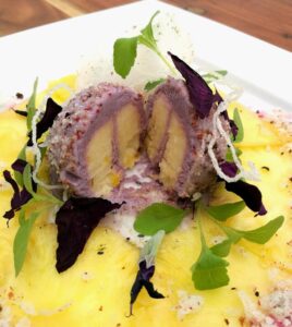 Trebol Morado Oxalis Comestible Mazatlán Hojas flores Durango México Restaurantes Chefs Gourmet Valgreens Cocina, farm to table, consume local