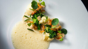 Brote microgreen capuchina mastuerzo comestible mazatlán durango méxico restauantes chefs gourmet