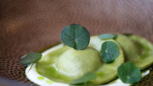 Brote microgreen capuchina mastuerzo comestible mazatlán durango méxico restauantes chefs gourmet